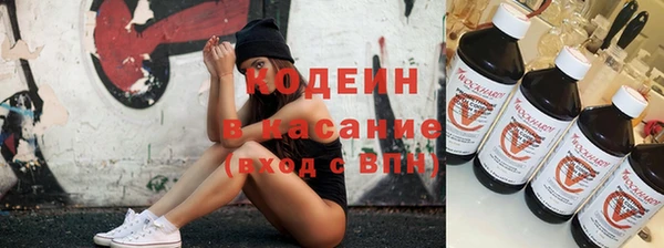 винт Бородино